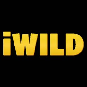 iWild Casino recenzja